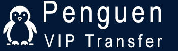 Penguen Vip Transfer | Antalya Vip Transfer